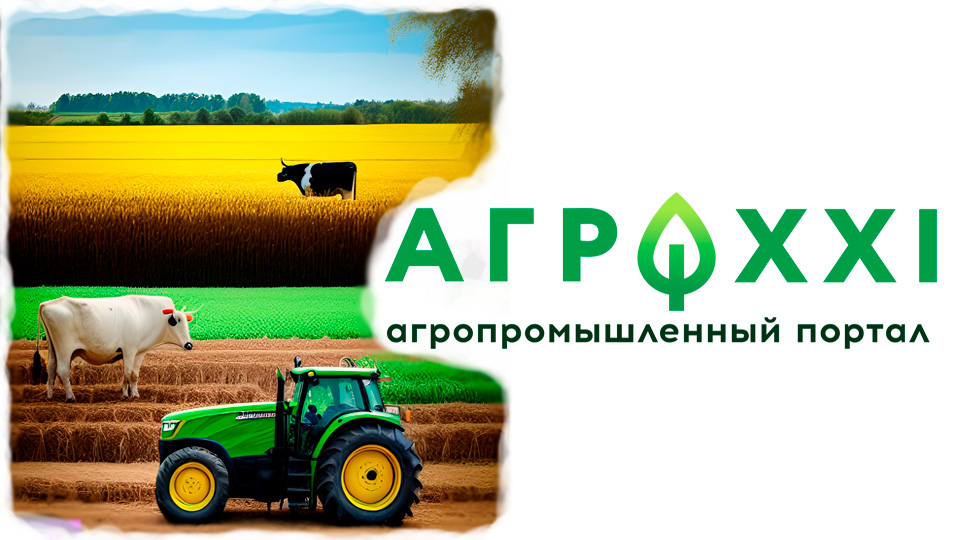 «Издательство Листерра» ООО